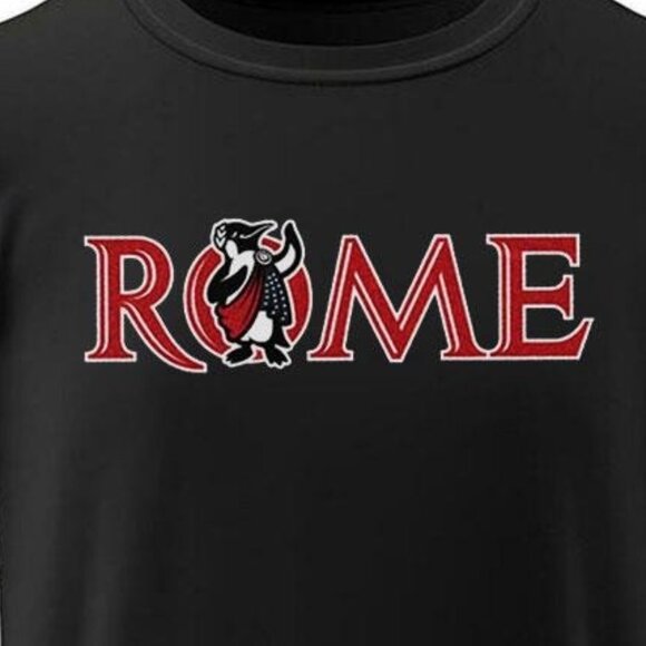 2024 Rome Emperors Patriotic American Pride USA Flag Graphic Novelty Shirt - Picture 2 of 5